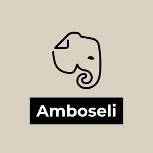 Amboseli Safari Tours