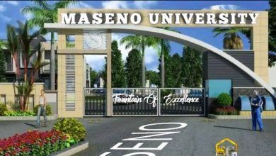249 Casuals Job Vacancies Open at Maseno University