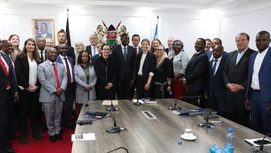 Kenya Advances Strategic Health Partnerships in Talks with German Delegation