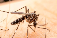 Wiping Out Malaria: The Strategic Interventions Needed for Global Eradication