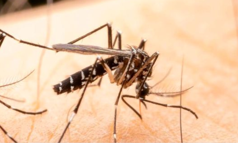Wiping Out Malaria: The Strategic Interventions Needed for Global Eradication