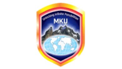 Internal Auditor at Mount Kenya University