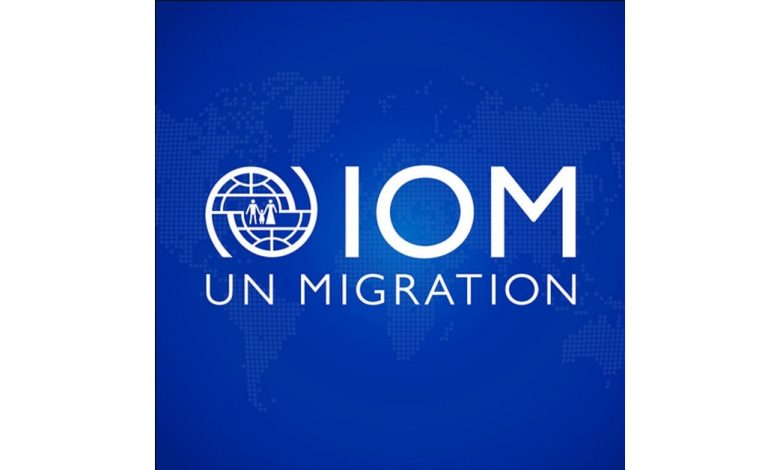 Senior Policy Associate at International Organization for Migration (IOM) position with Confidential in Nairobi