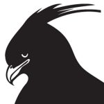 Environmental Media Champions at Nature Kenya