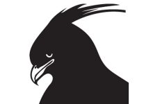 Environmental Media Champions at Nature Kenya