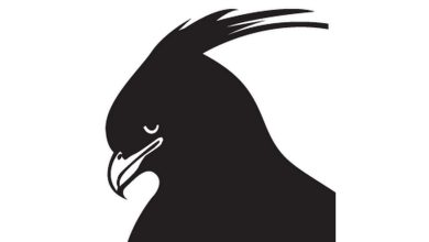 Environmental Media Champions at Nature Kenya