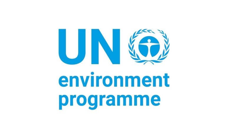 Project Development Lead, Maldives Project (GBFF12031) and Indonesia Policy Coherence Project (GEF12073) at United Nations Environment Programme (UNEP) position with Confidential in Nairobi