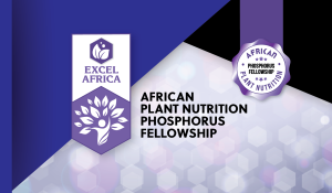 APNI Young African Phosphorus Fellowship 2026 for Early Career Researchers ($5,000 Prize); How to Apply