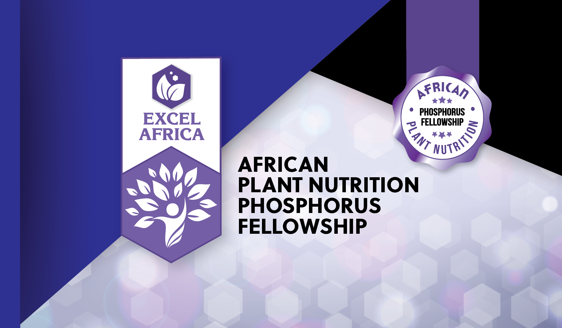 APNI Young African Phosphorus Fellowship 2026 for Early Career Researchers ($5,000 Prize); How to Apply