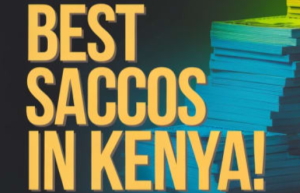 Best Saccos in Kenya 2026: Top Paying Highest Dividends