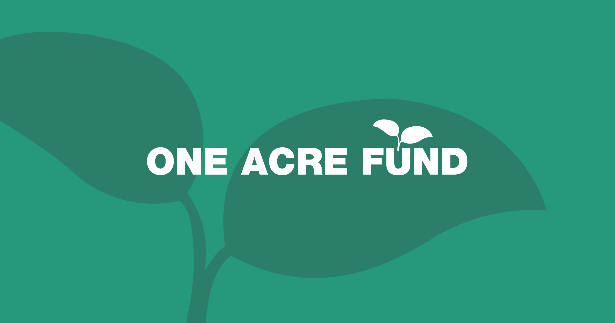 Finance and Administrative Jobs in Kenya: Multiple Opportunities at UAF-Africa, AAS, Cord, and OAF