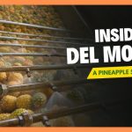 Inside Del Monte Kenya’s Strategy to Protect Thousands of Jobs Amidst a Tech-Driven Future