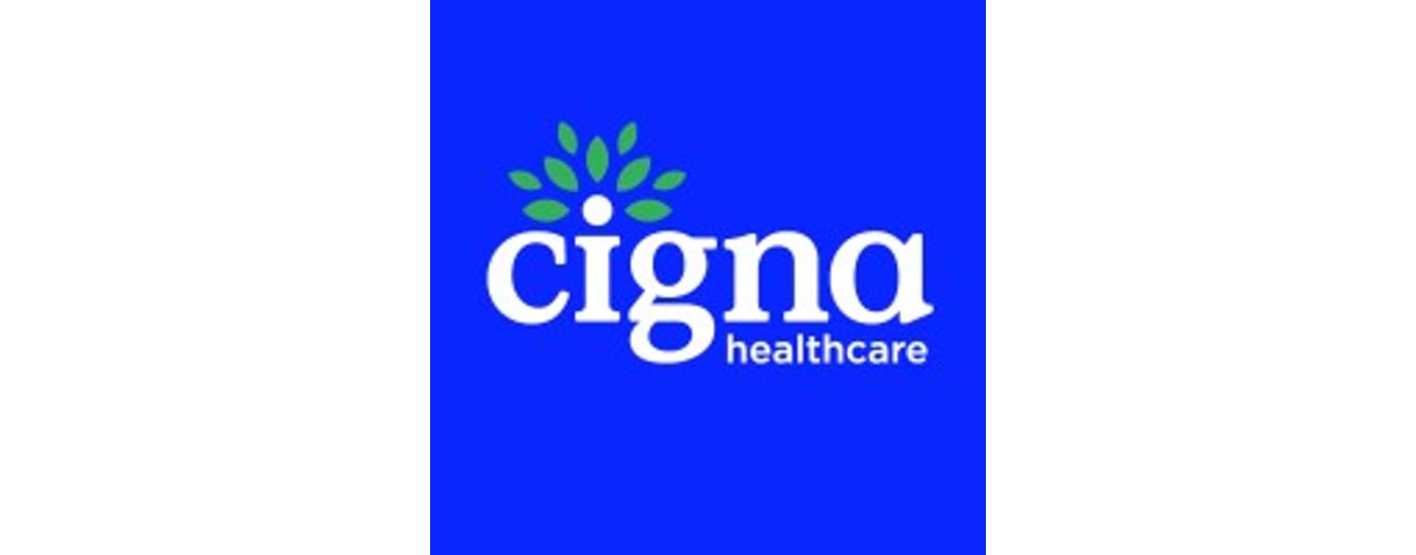 Product Management Director - Evernorth Health Services - Hybrid at Cigna