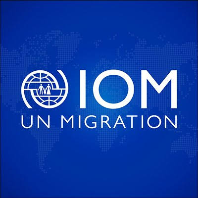 National Programme Officer at International Organization for Migration (IOM)